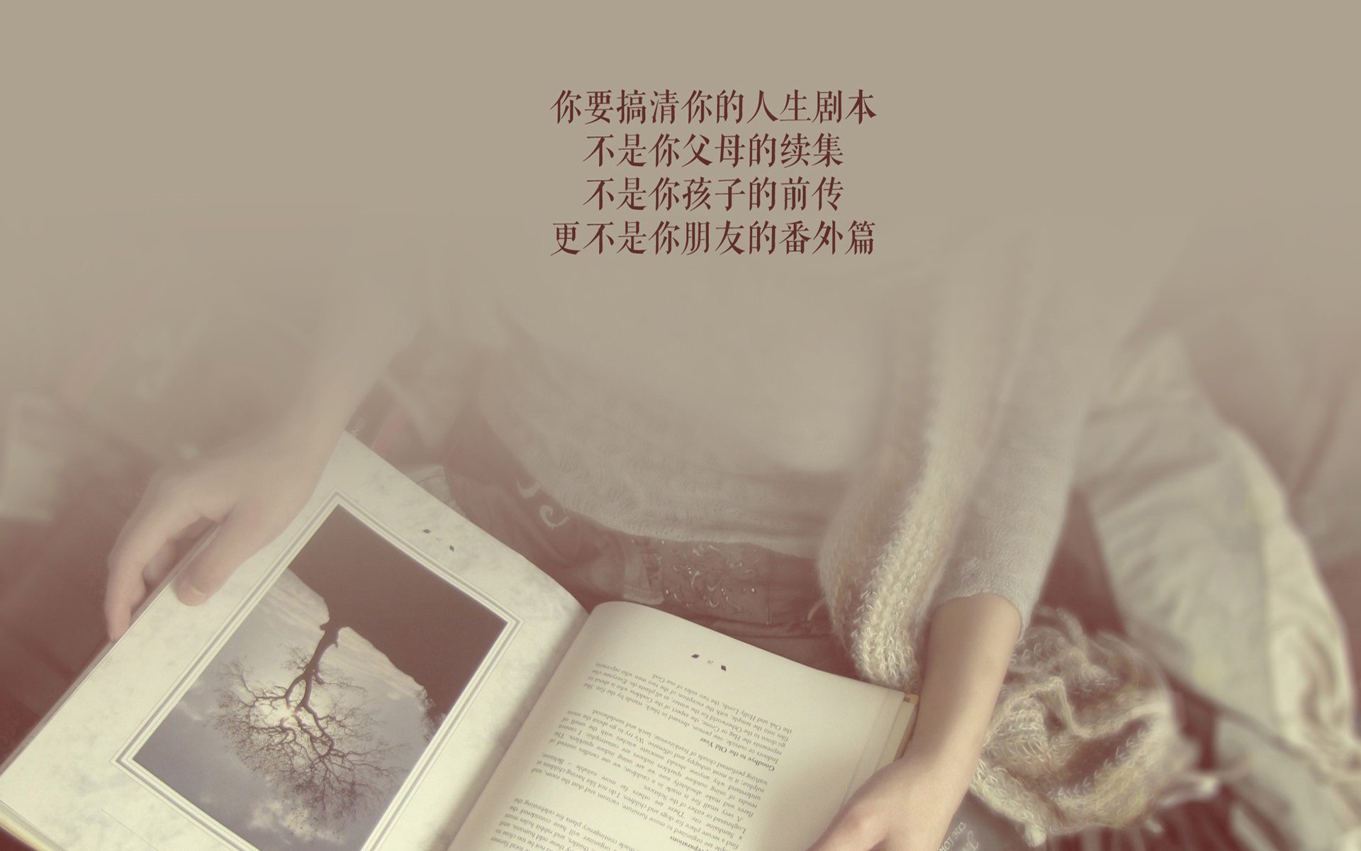 _魔术魔力四射，主场捍卫胜利_，魔术精彩视频
