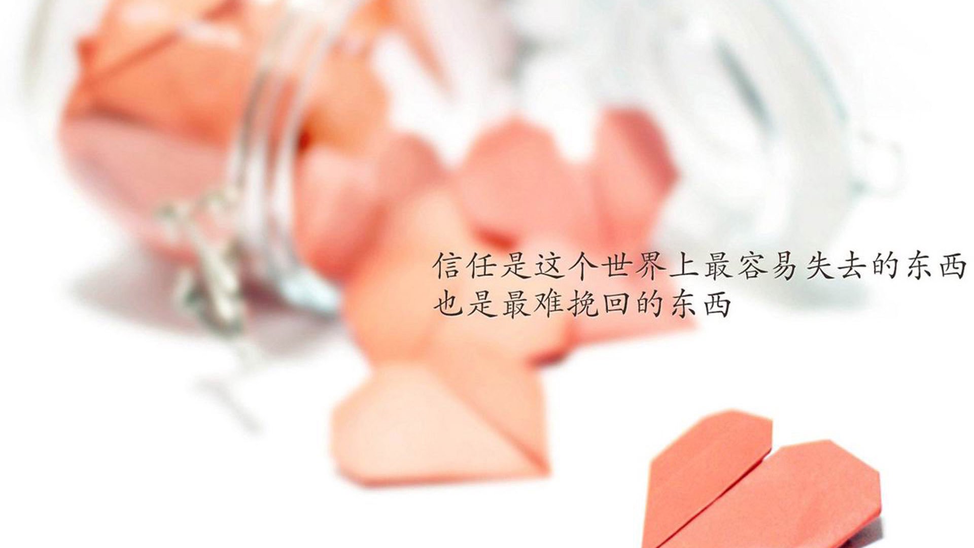 球员成长记：从菜鸟到联盟中坚的奋斗之路，球员成长怎么弄