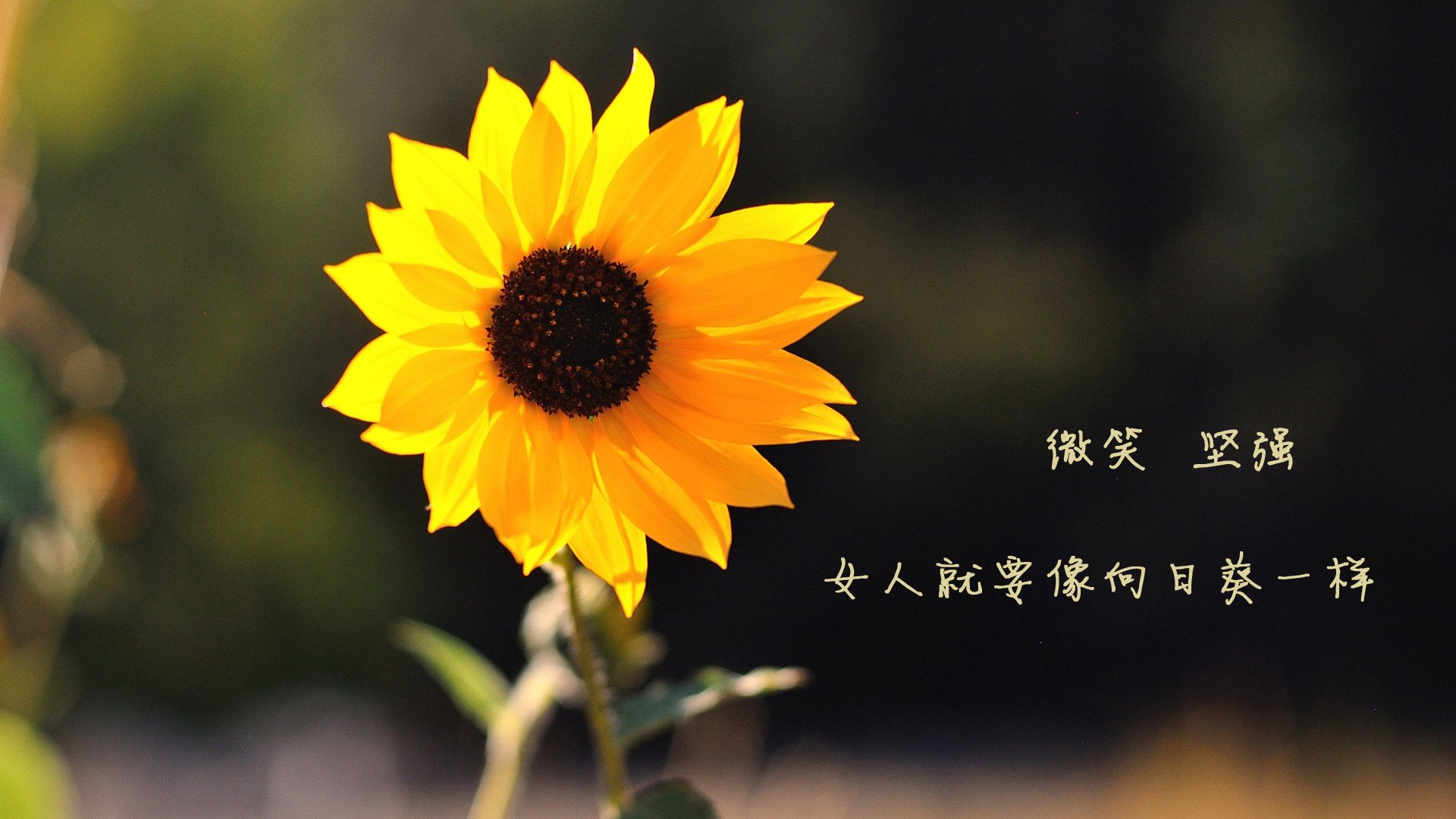 第一届全国青少年三大球运动会举行。，第三届全国青少年运动会是什么时候
