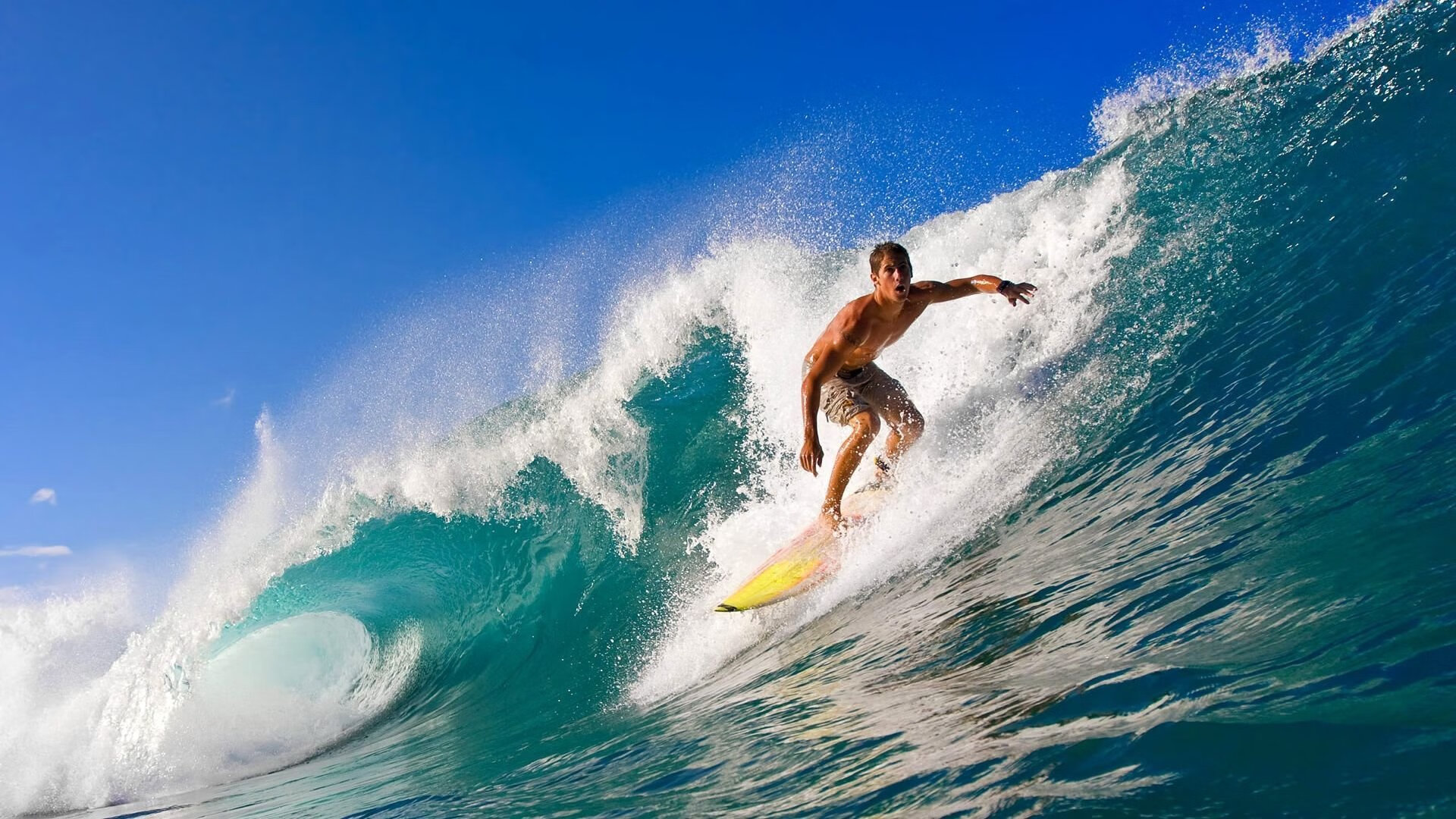 《DOTA2》青训队：年轻选手的成长之路与挑战，dota2青年训练营